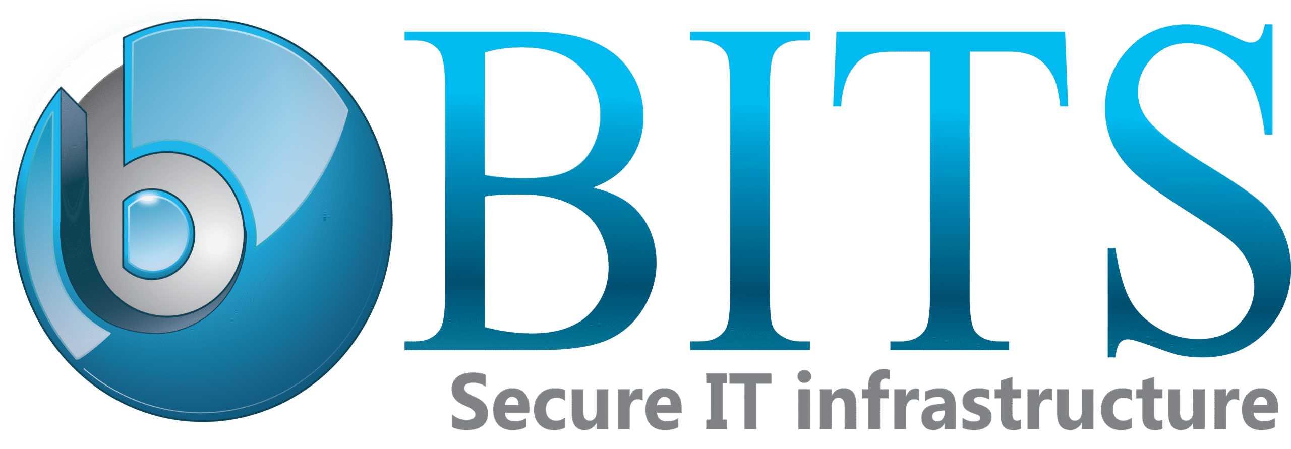 BITS_logo_High Resolution